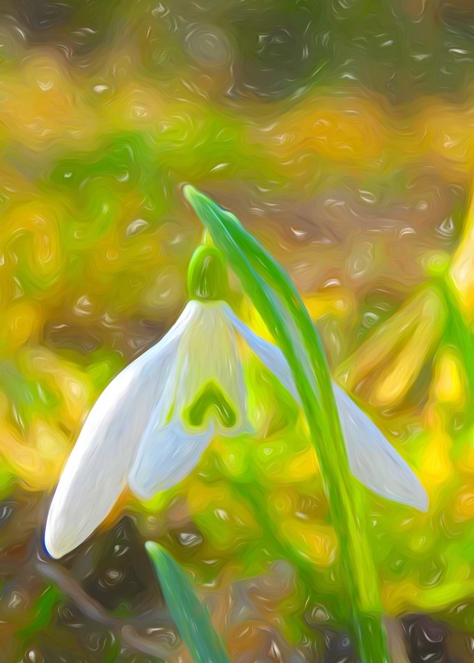 Snowdrop spring art