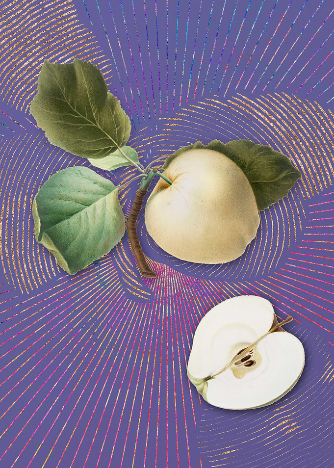 Vintage Astracan Apple