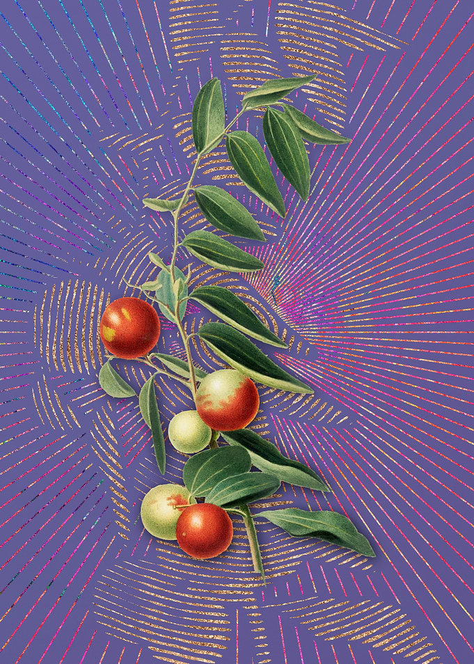 Vintage Chinese Jujube