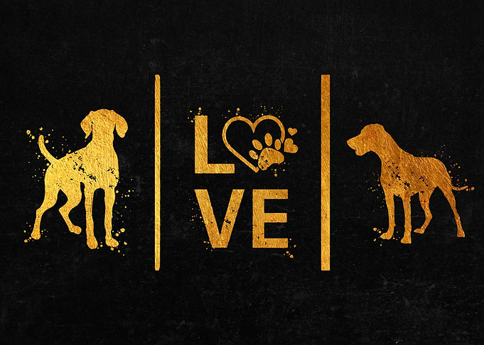 Set Dog Art