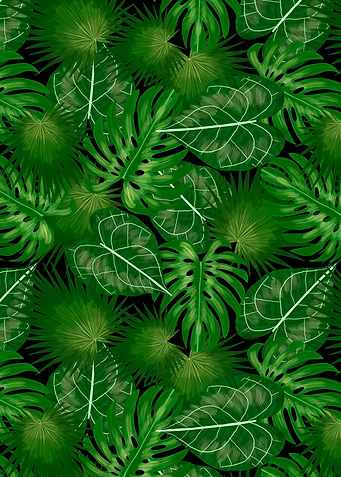 Tropical jungle leaves