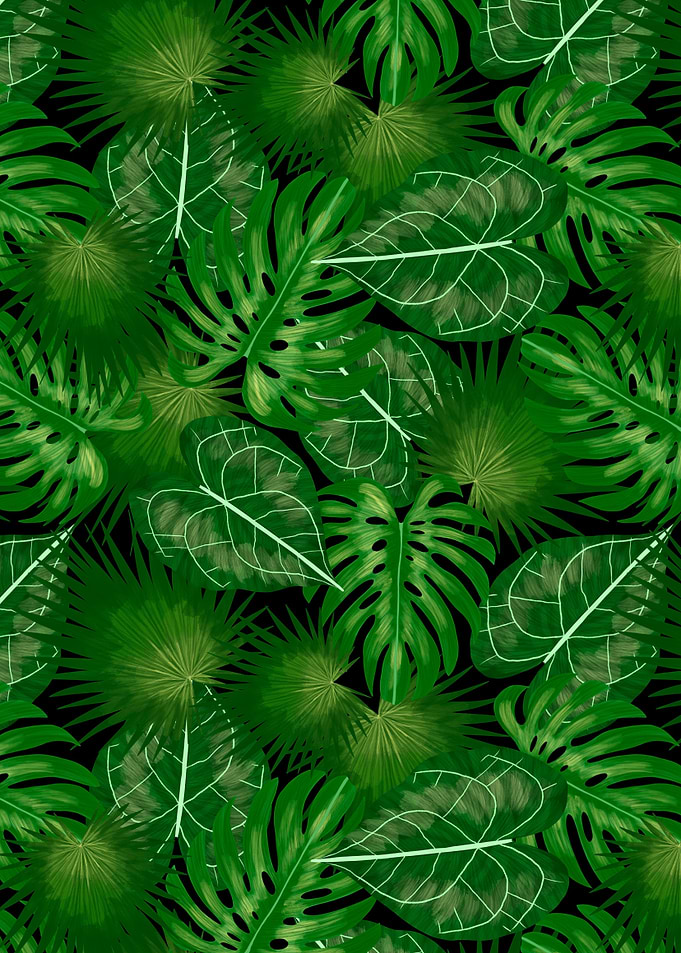 Tropical jungle leaves