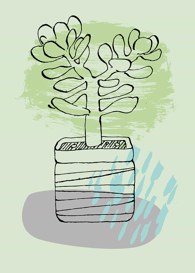 House flowers