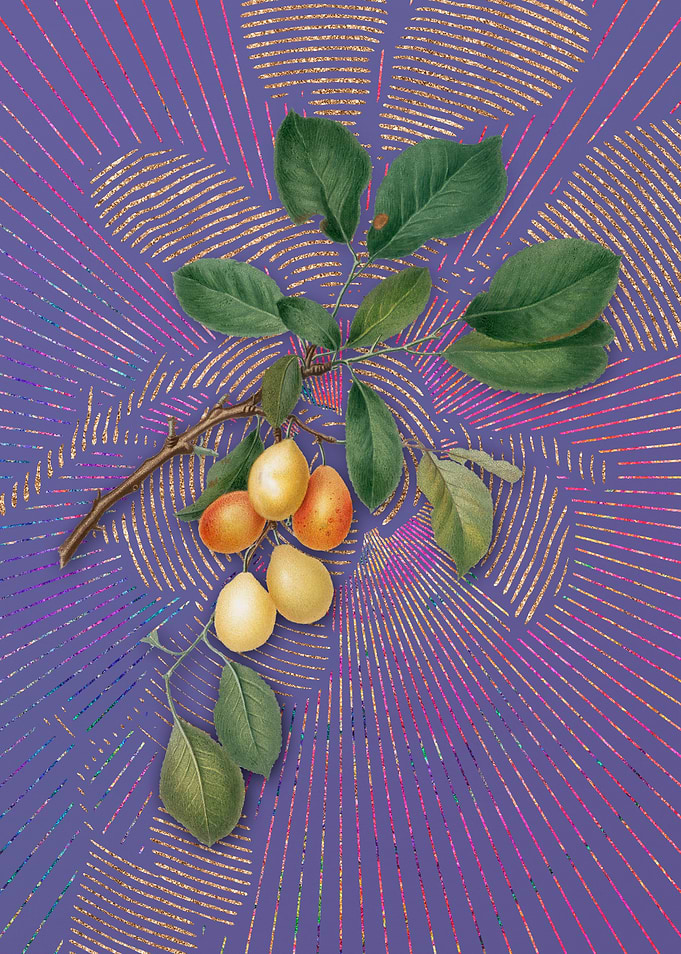 Vintage Cherry 7 Fruit