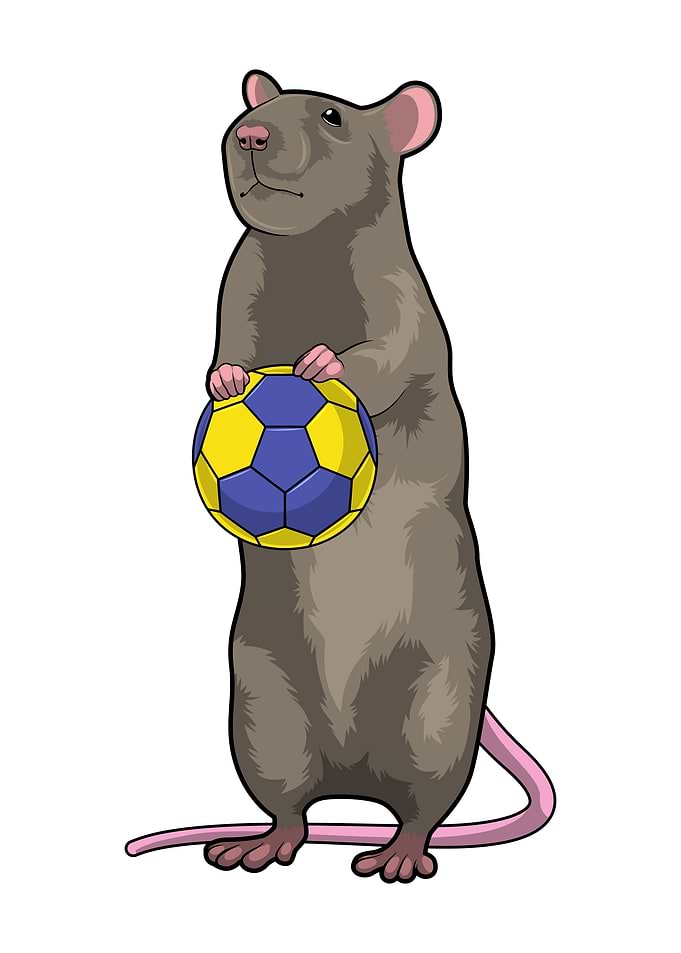 Mouse Handball Sports