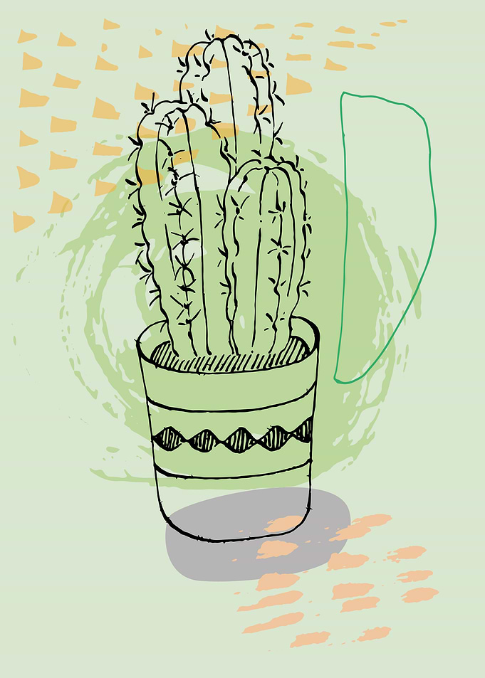 House flowers