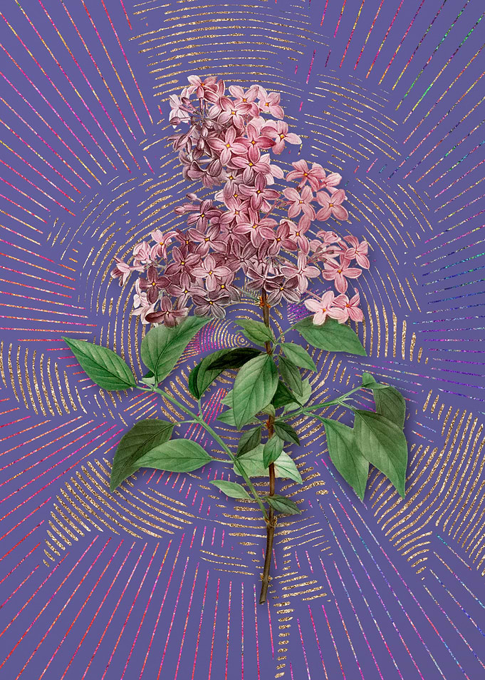 Vintage Chinese Lilac
