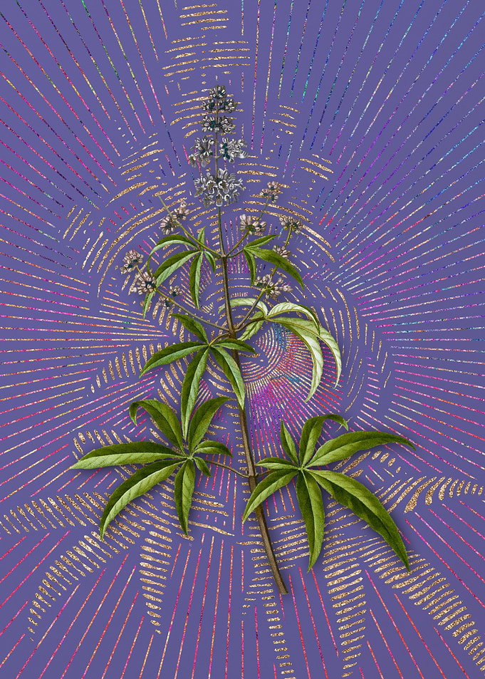 Vintage Chaste Tree Purple