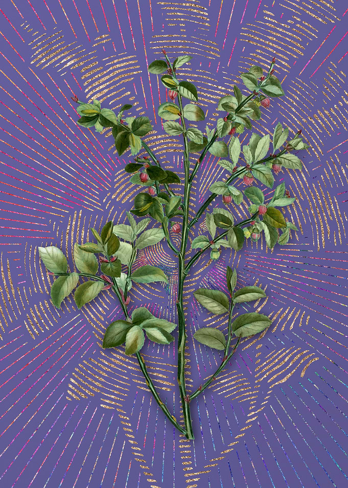 Vintage Bilberry Flora