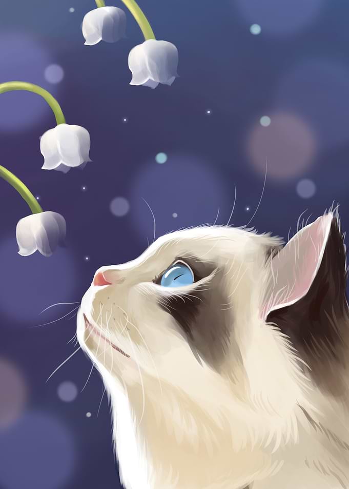 Cute Cat and Flower Lily
