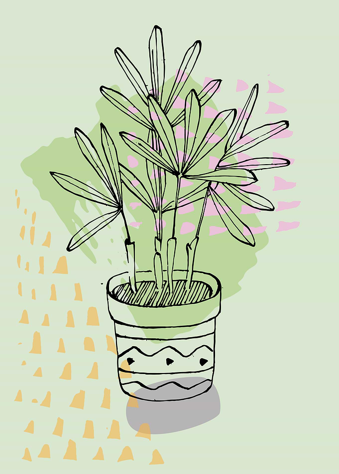 House flowers