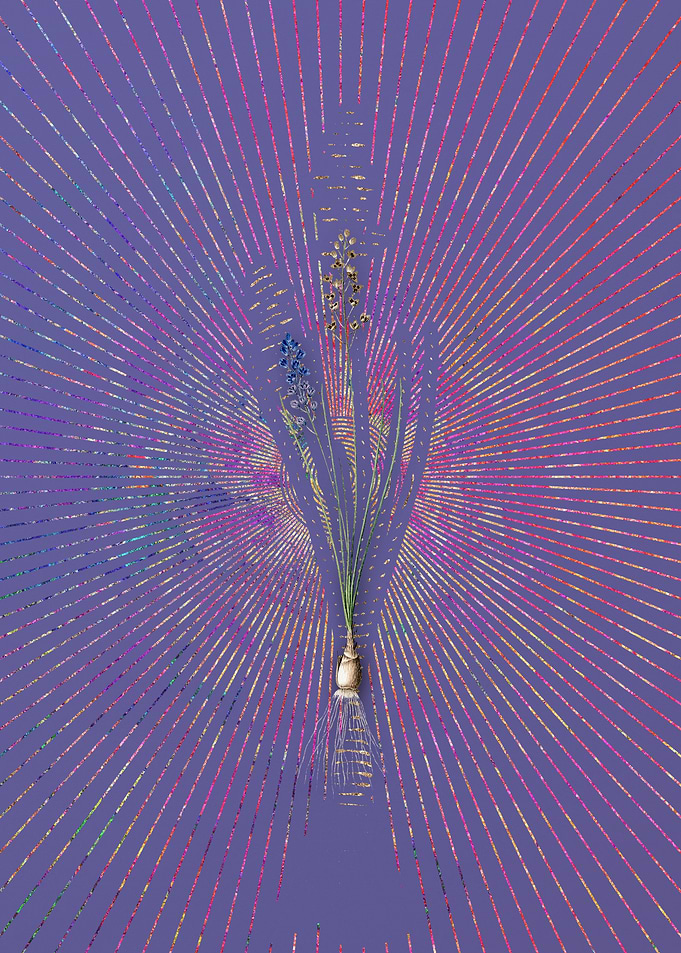 Vintage Autumn Squill