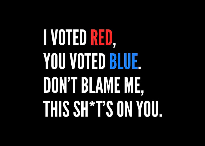 I Voted Red You Voted Blue