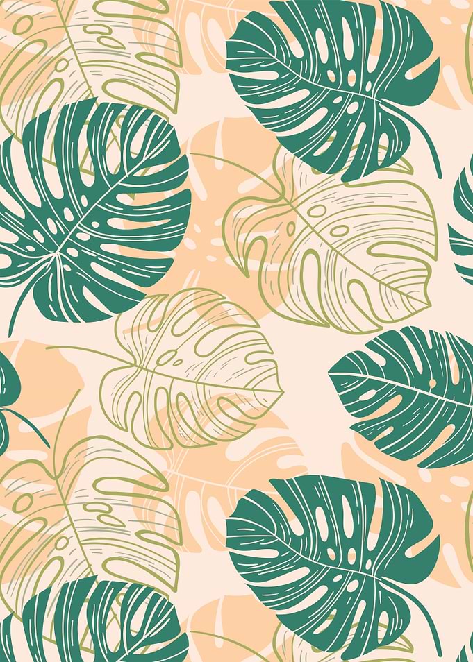 Monstera