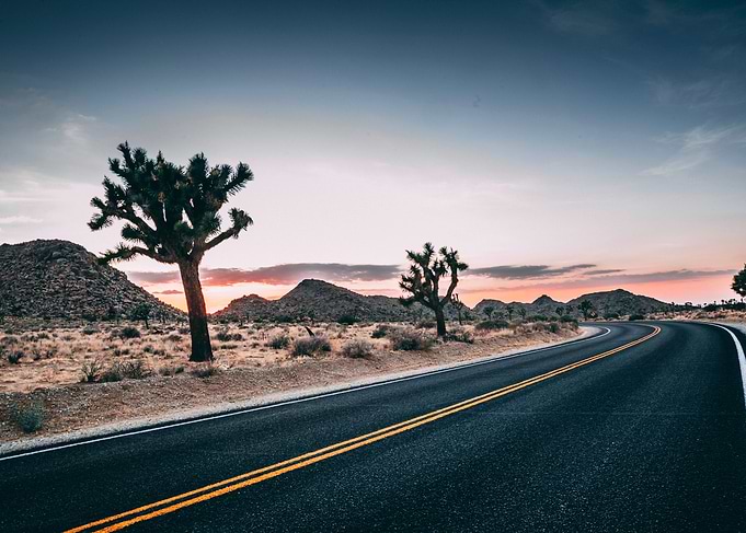 Joshua Tree