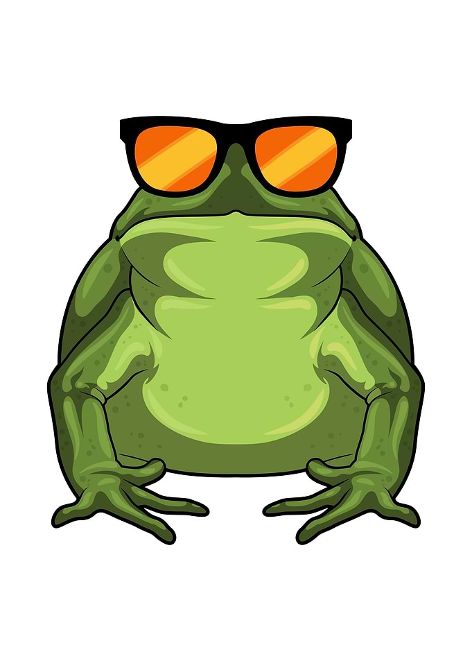 Frog Sunglasses