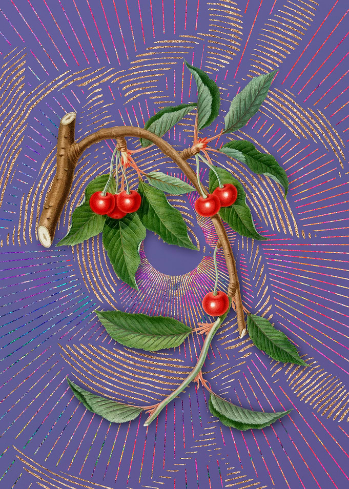Vintage Cherry 8 Fruit