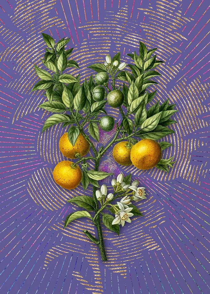 Vintage Bitter Orange
