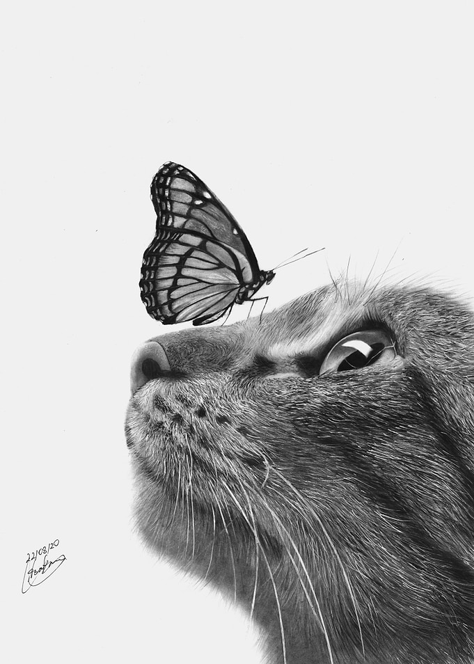 Cat and Butterfly