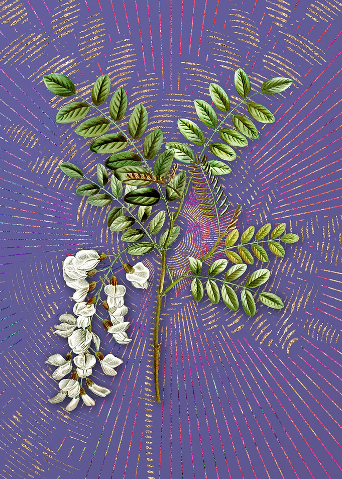 Vintage Black Locust Art