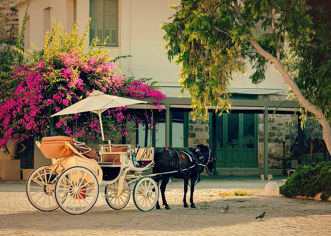 Holiday in Crete Island