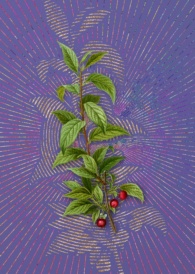 Vintage Cherry 2 Flora