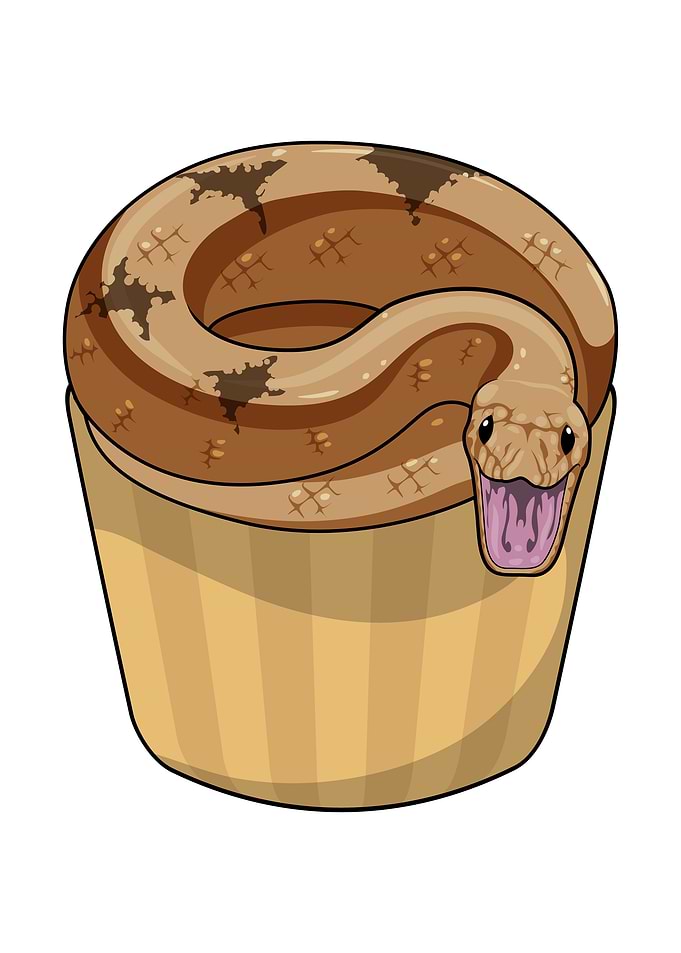 Snake Muffin