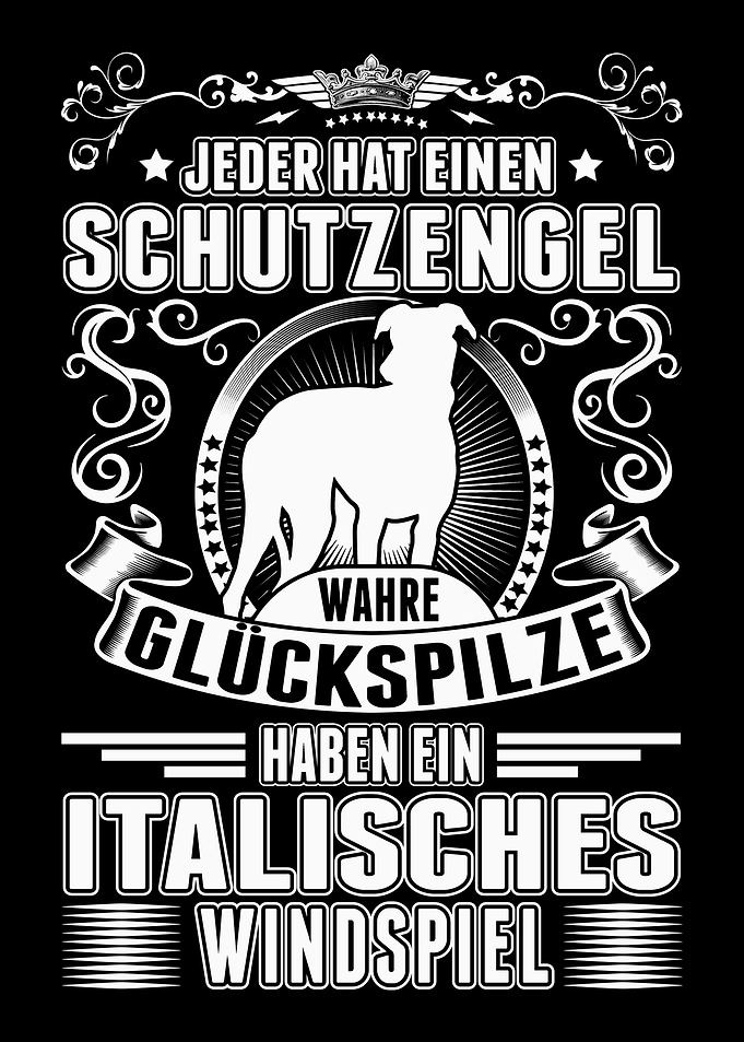 Italienisches Windspiel Sc