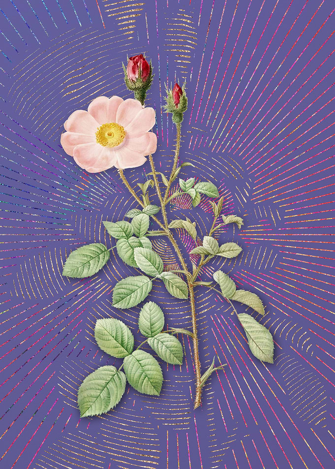 Vintage Sparkling Rose