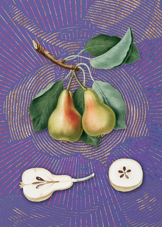 Vintage Pear 15 Violet