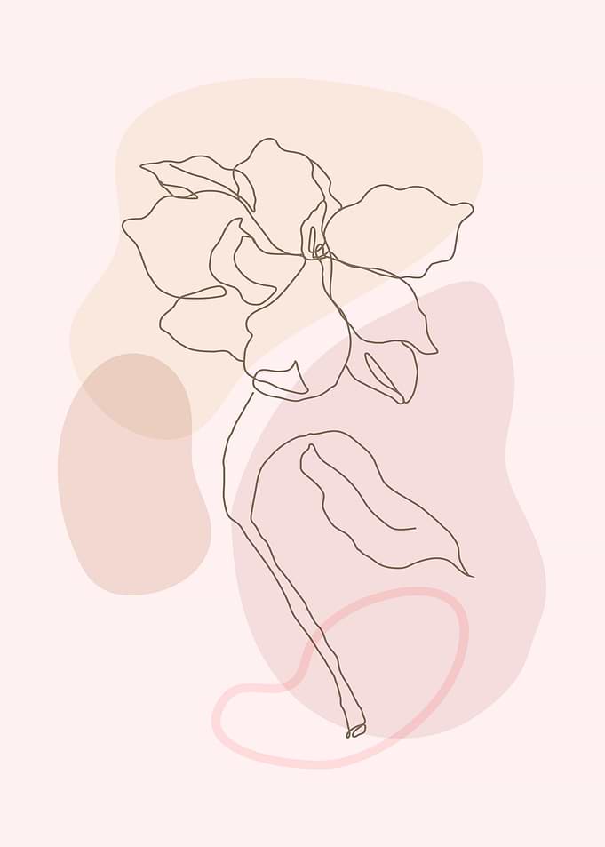 Botanical flower line art