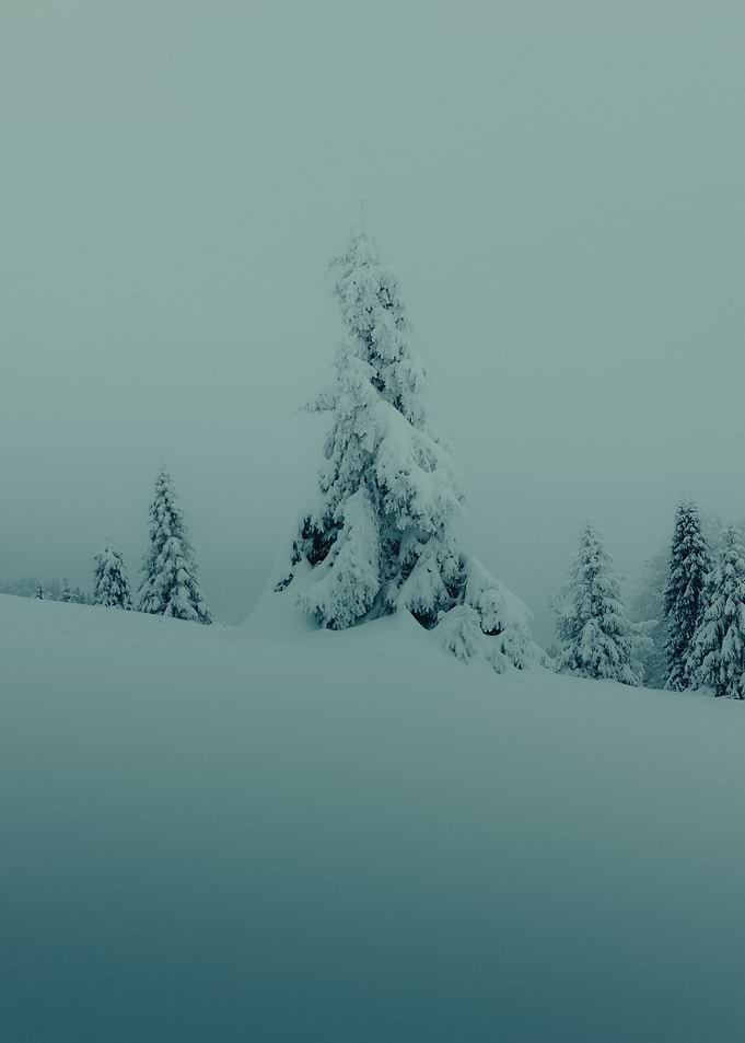 Under the Snow