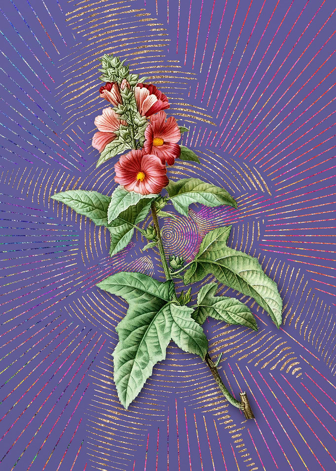 Vintage Tree Mallow Purple