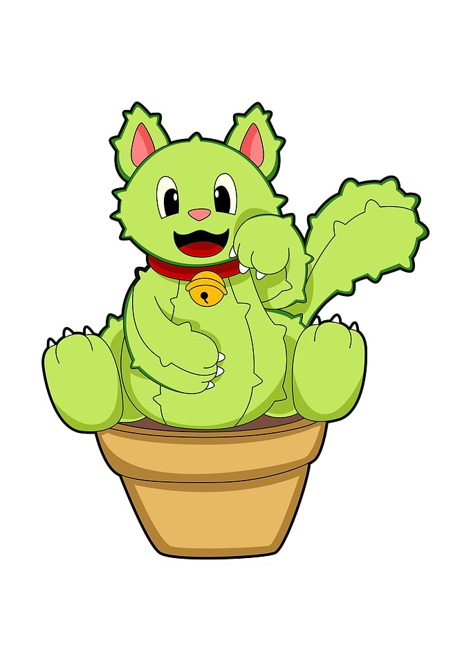 Cat Cactus