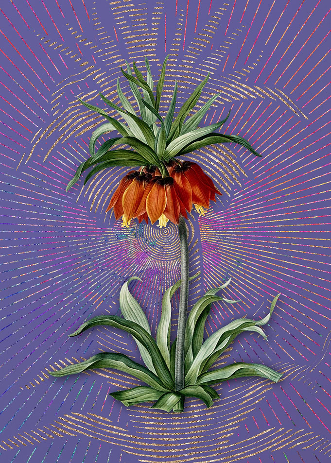 Vintage Fritillaries Art
