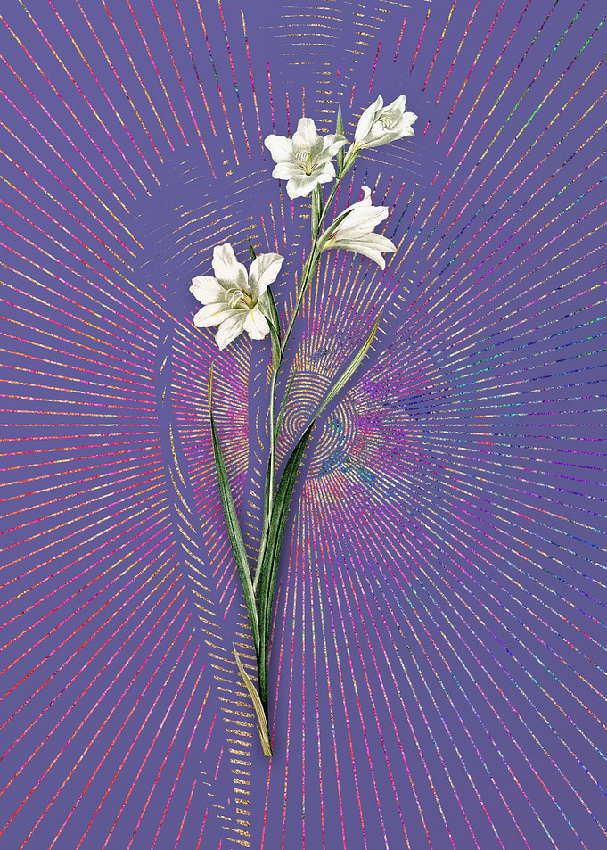 Vintage Painted Lady 2