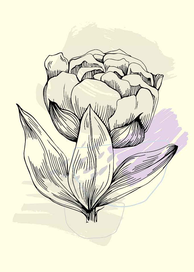 Peony