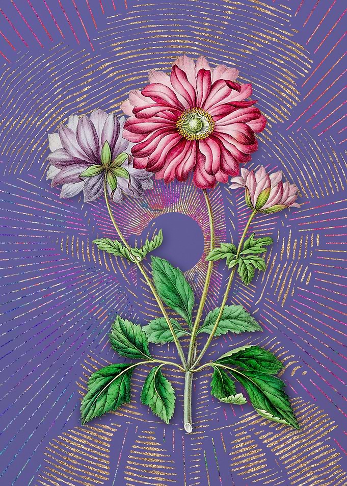 Vintage Hyacinth Flora