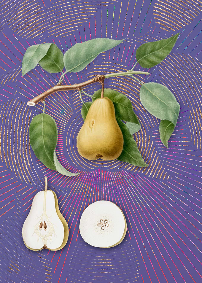 Vintage Pear 11 Violet