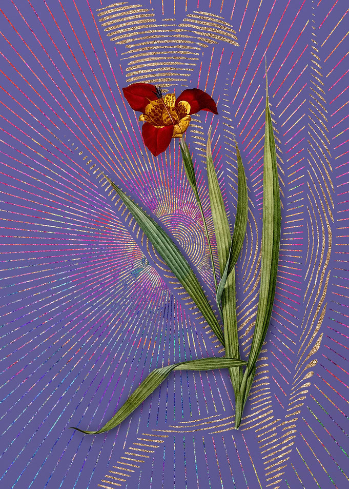 Vintage Tiger Flower Art
