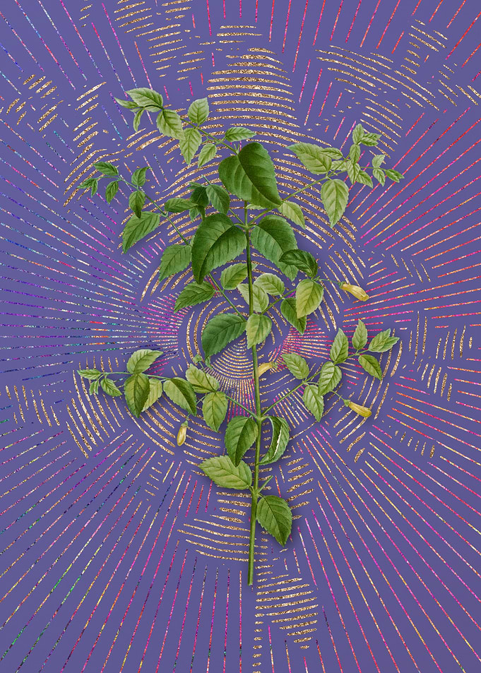 Vintage Tree Fuchsia Art