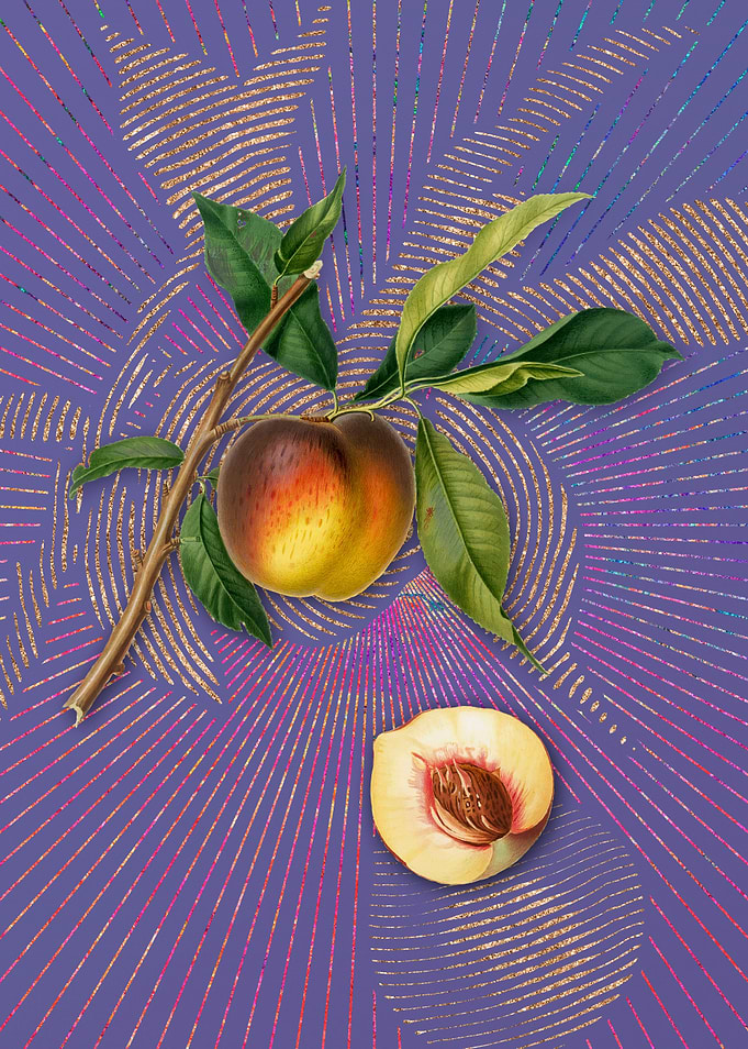 Vintage Peach 11 Fruit