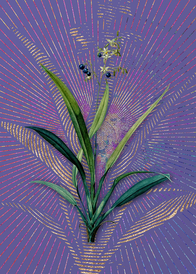 Vintage Flax Lilies Purple