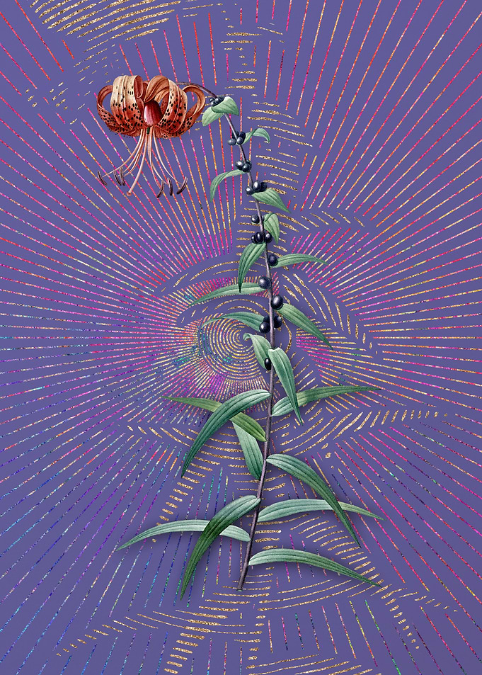 Vintage Tiger Lily 2 Art