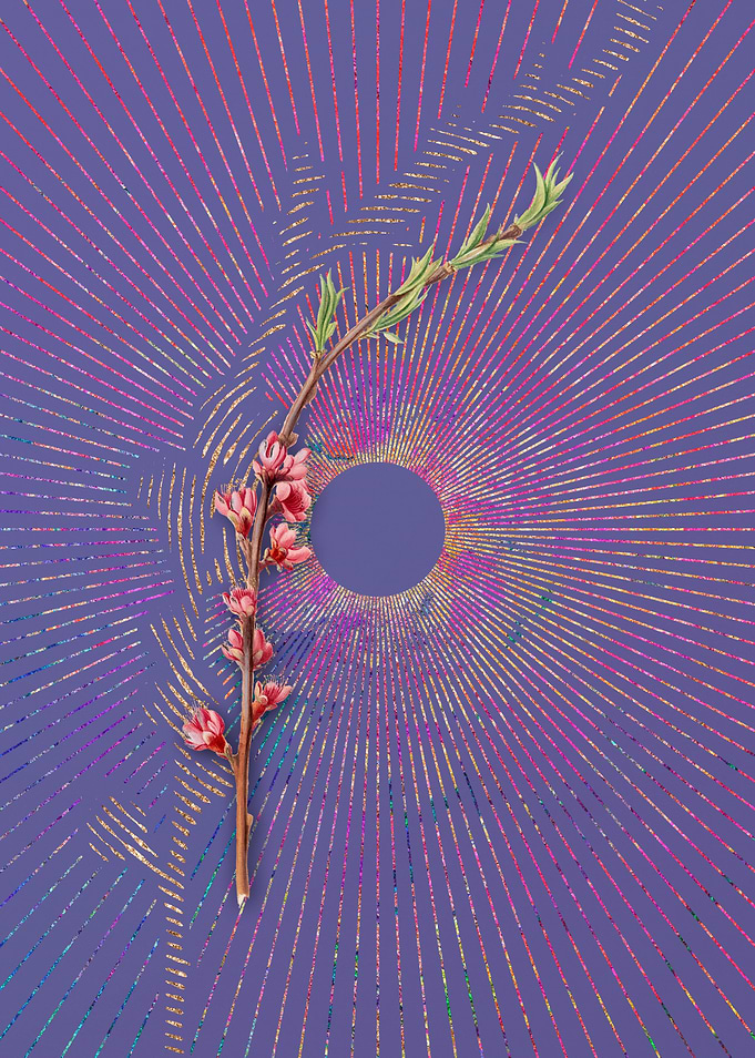 Vintage Peach Blossom