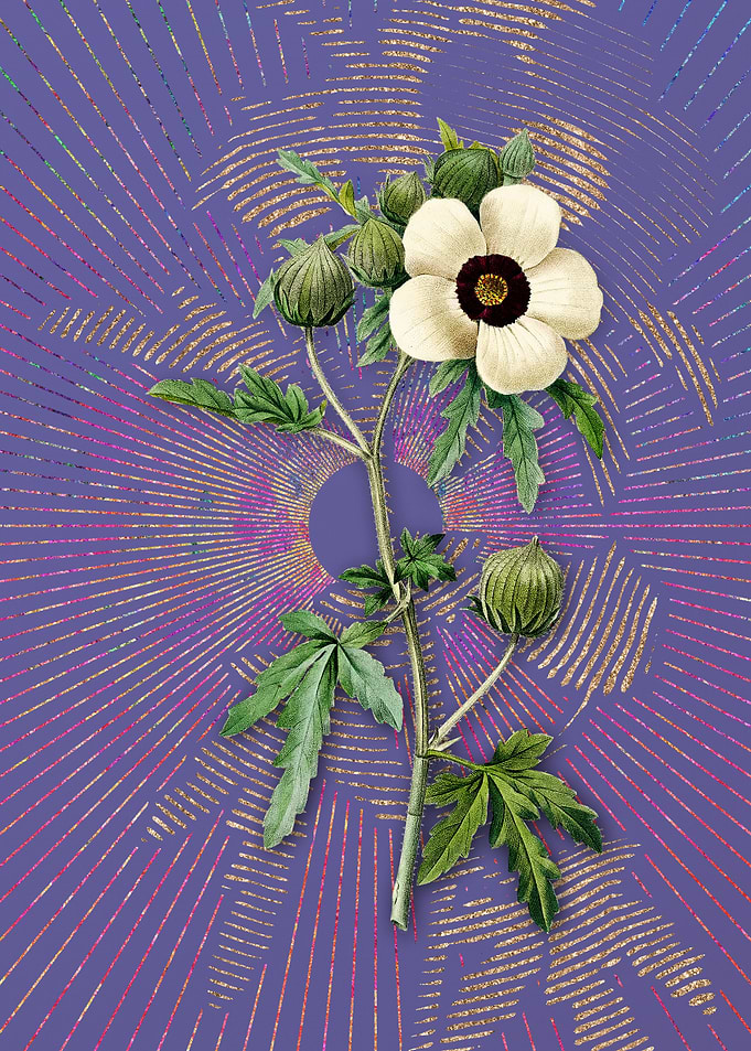 Vintage Venice Mallow