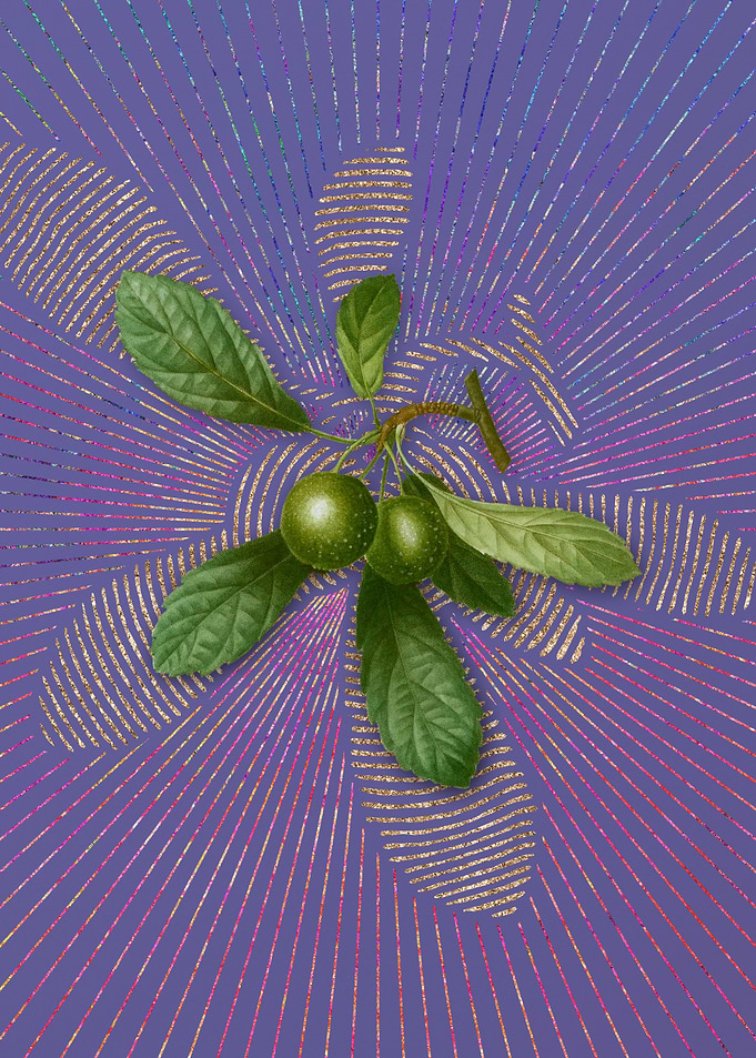 Vintage Crabapple 1 Purple
