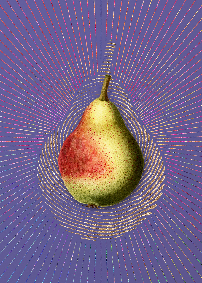Vintage Pear 17 Fruit