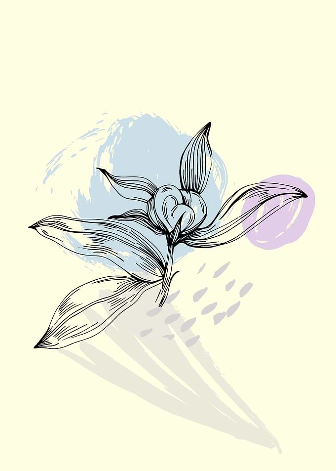 Peony