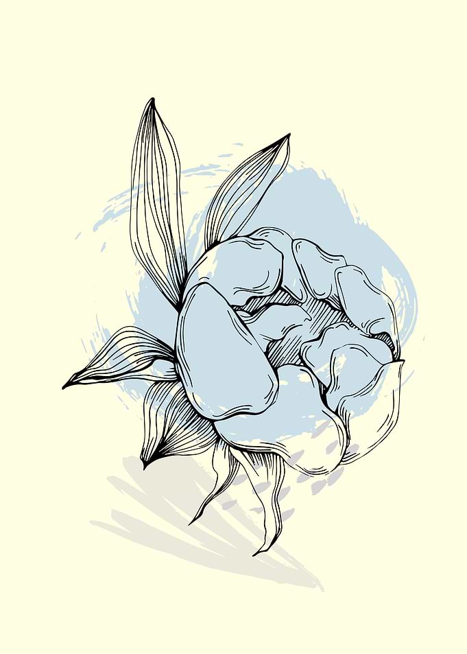 Peony